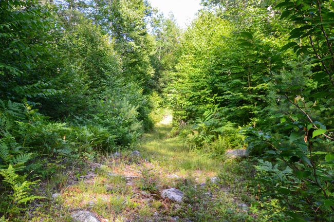 LOT-3 - 00 Vt Route 103 N, Home with 0 bedrooms, 0 bathrooms and null parking in Chester VT | Image 17