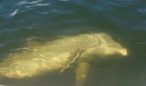 184 Colony Point Dr, PUNTA GORDA, FL, 33950-5053 | Card Image