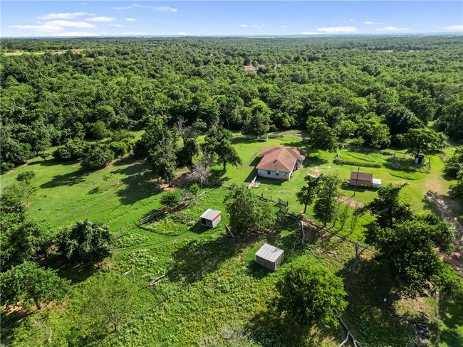 Bird's eye view of a forest | Image 37