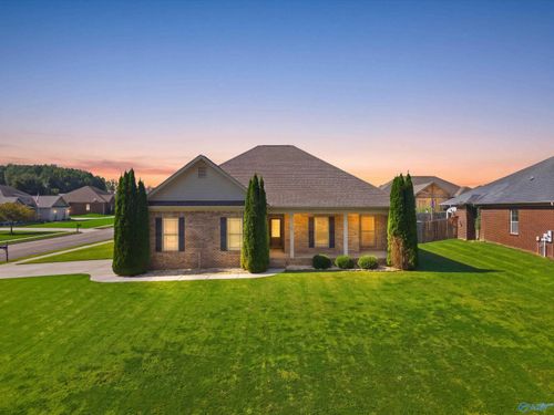 101 Birch Falls Dr, Hazel Green, AL, 35750-8789 | Card Image
