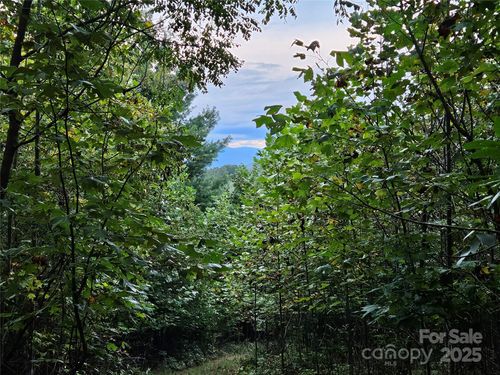 000 Double Island Rd, Green Mountain, NC, 28740 | Card Image