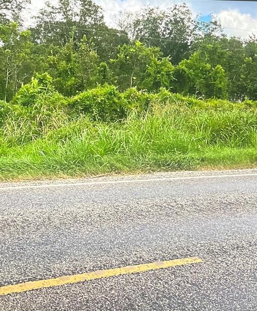 0 0 Fm 521, Cedar Lane, TX, 77415 | Card Image