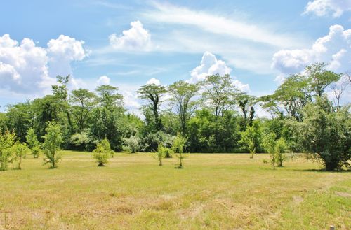 2304 Oakwood Ln, Marseilles, IL, 61341-9304 | Card Image