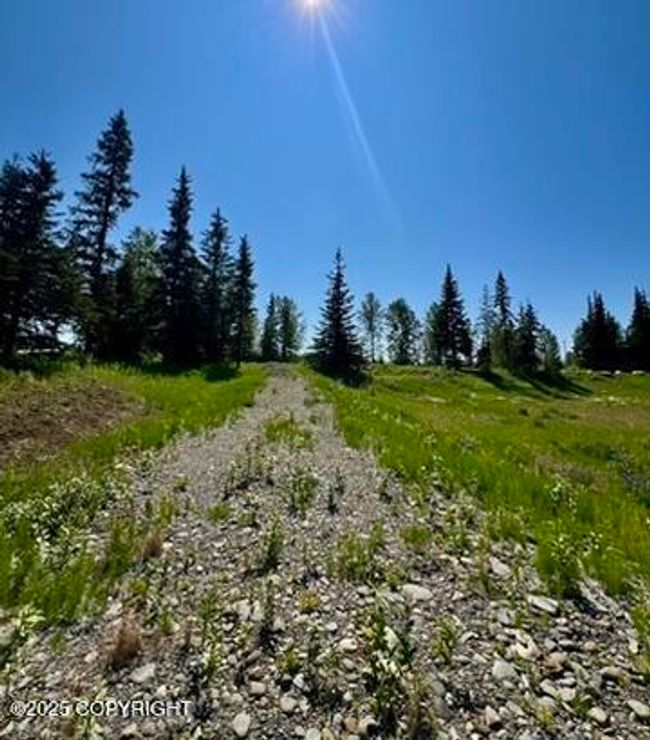 View from back of driveway | Image 6