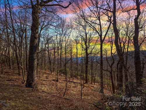 36-00 Morning Ride Dr, Columbus, NC, 28722 | Card Image