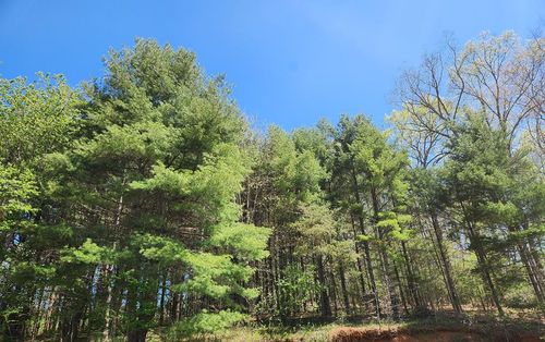 46 Silverleaf Road, Hillsville, VA, 24343 | Card Image