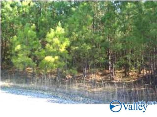 Tract 10 Maple Dr, Boaz, AL, 35956-7718 | Card Image