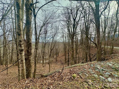 21-22-TBD Alpine Drive, Seven Devils, NC, 28604 | Card Image