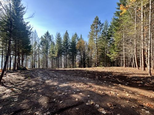 9562 Cook Underwood Rd, Underwood, WA, 98651 | Card Image