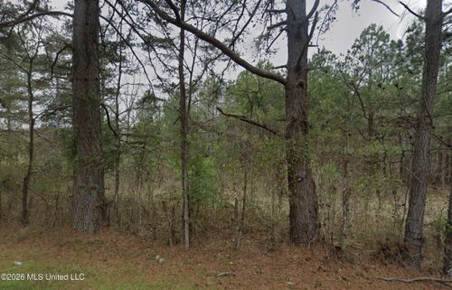 Lot 33 Sleepy Hollow Rd, Terry, MS, 39170 | Card Image