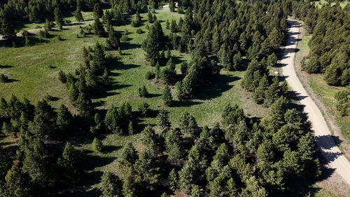 lot-6-NHN Lot 6 Phase 3A Dolus Lake Road, Deer Lodge, MT, 59722 | Card Image