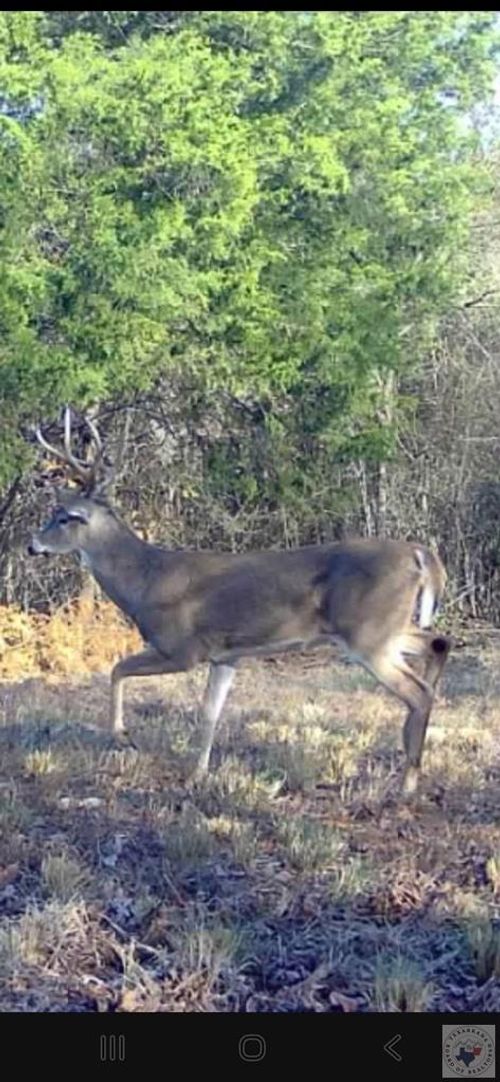 000 Miller County 30, Doddridge, AR, 71834 | Card Image