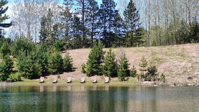 80012 Conifer Crest Rd, Home with 0 bedrooms, 0 bathrooms and null parking in Tower MN | Image 24