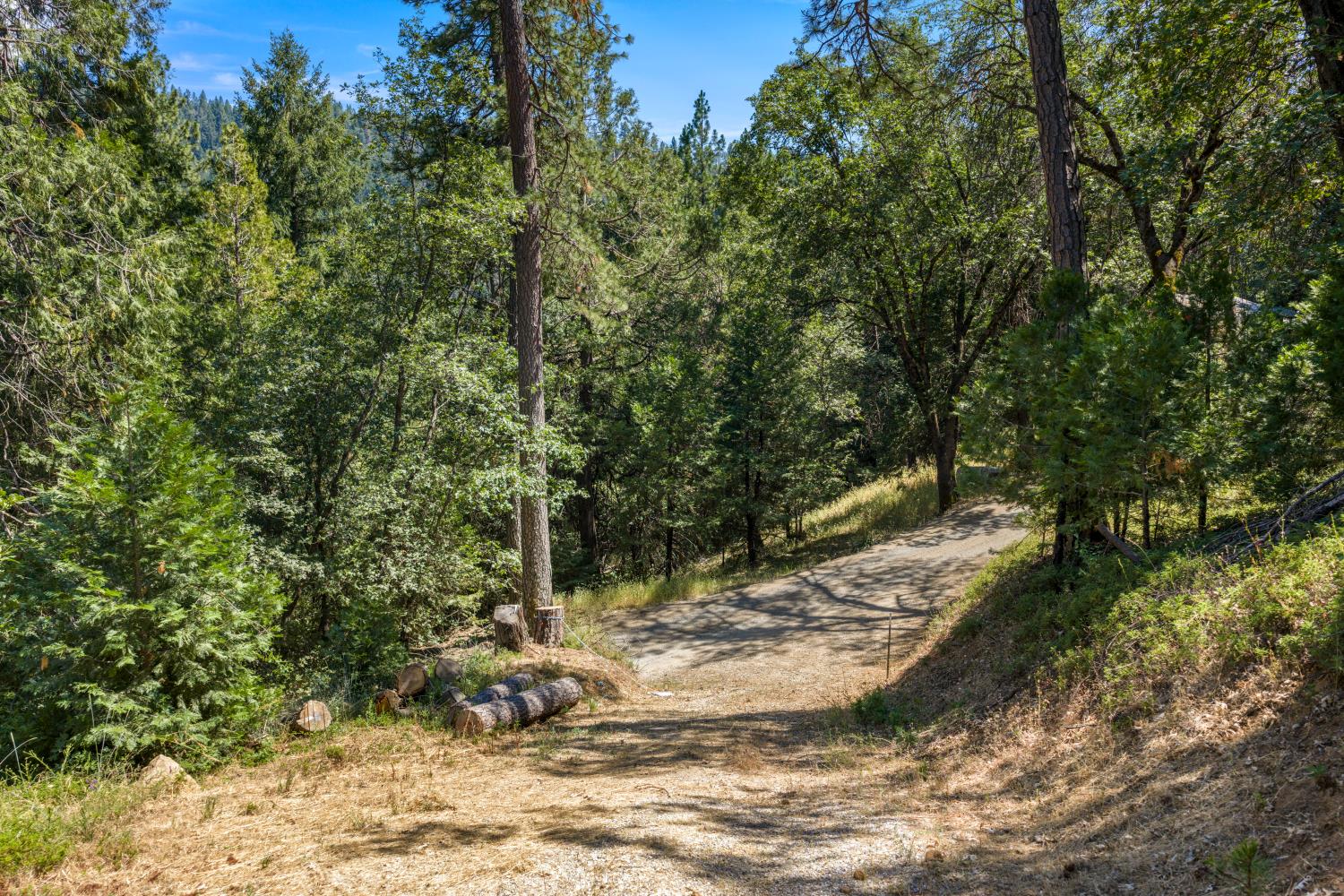 Land in Camino 5