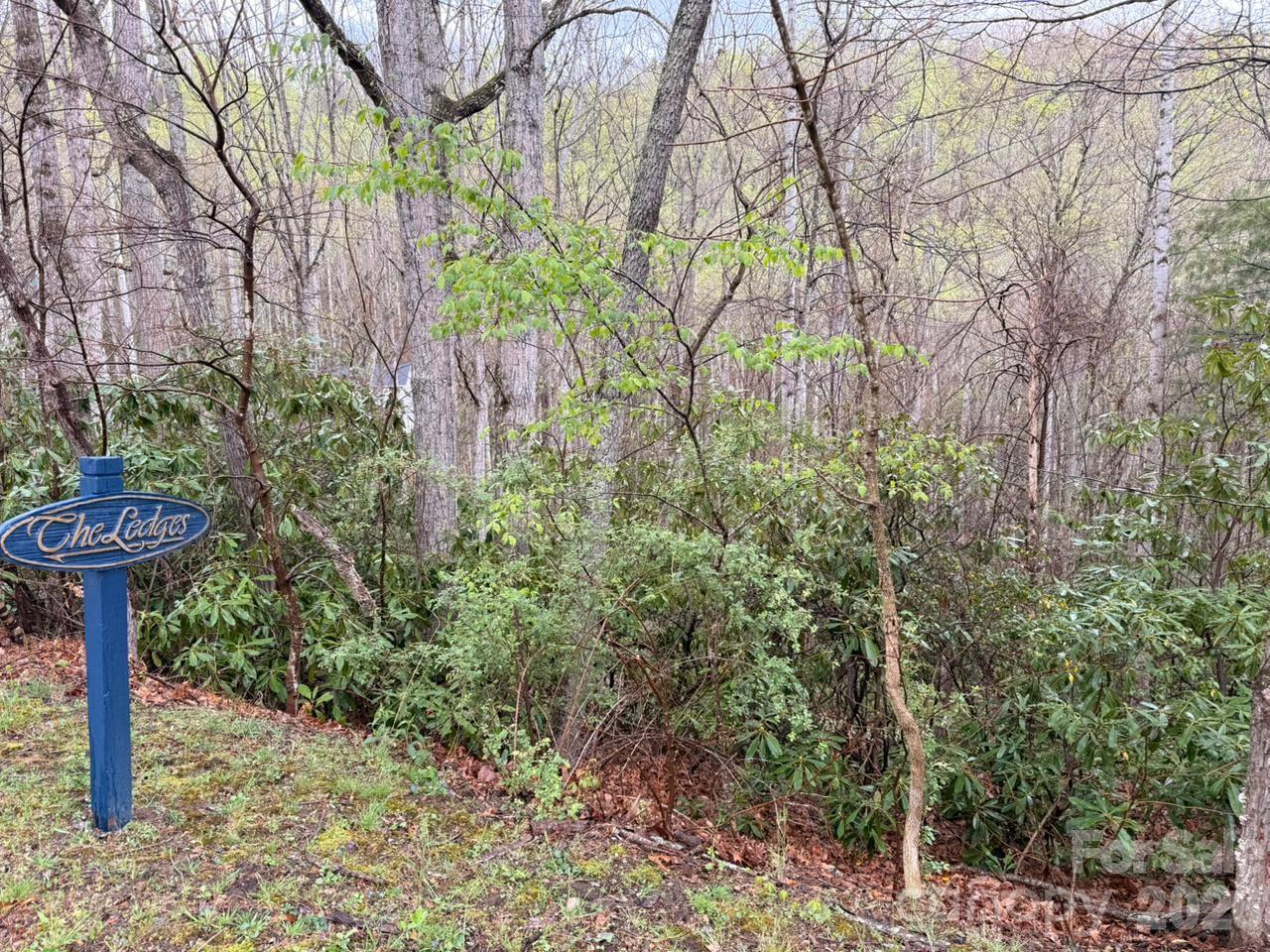 Land in Hendersonville 2
