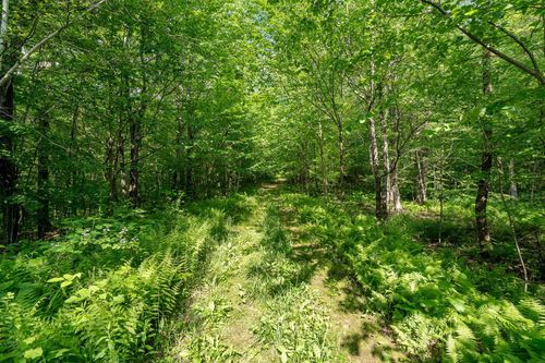 115 Stone Hill Road, Bolton, VT, 05477 | Card Image