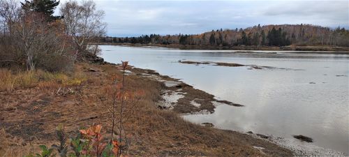 1489 Indian River Road, Jonesport, ME, 04649 | Card Image