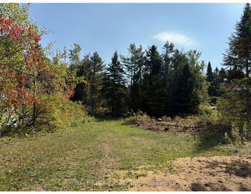 0 The Avenue, Kinmount, ON, K0M2A0 | Card Image