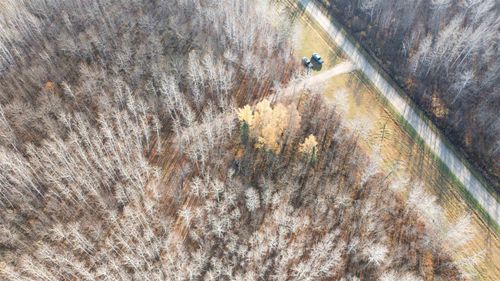 11680 County Road 59, Gheen, MN, 55771 | Card Image