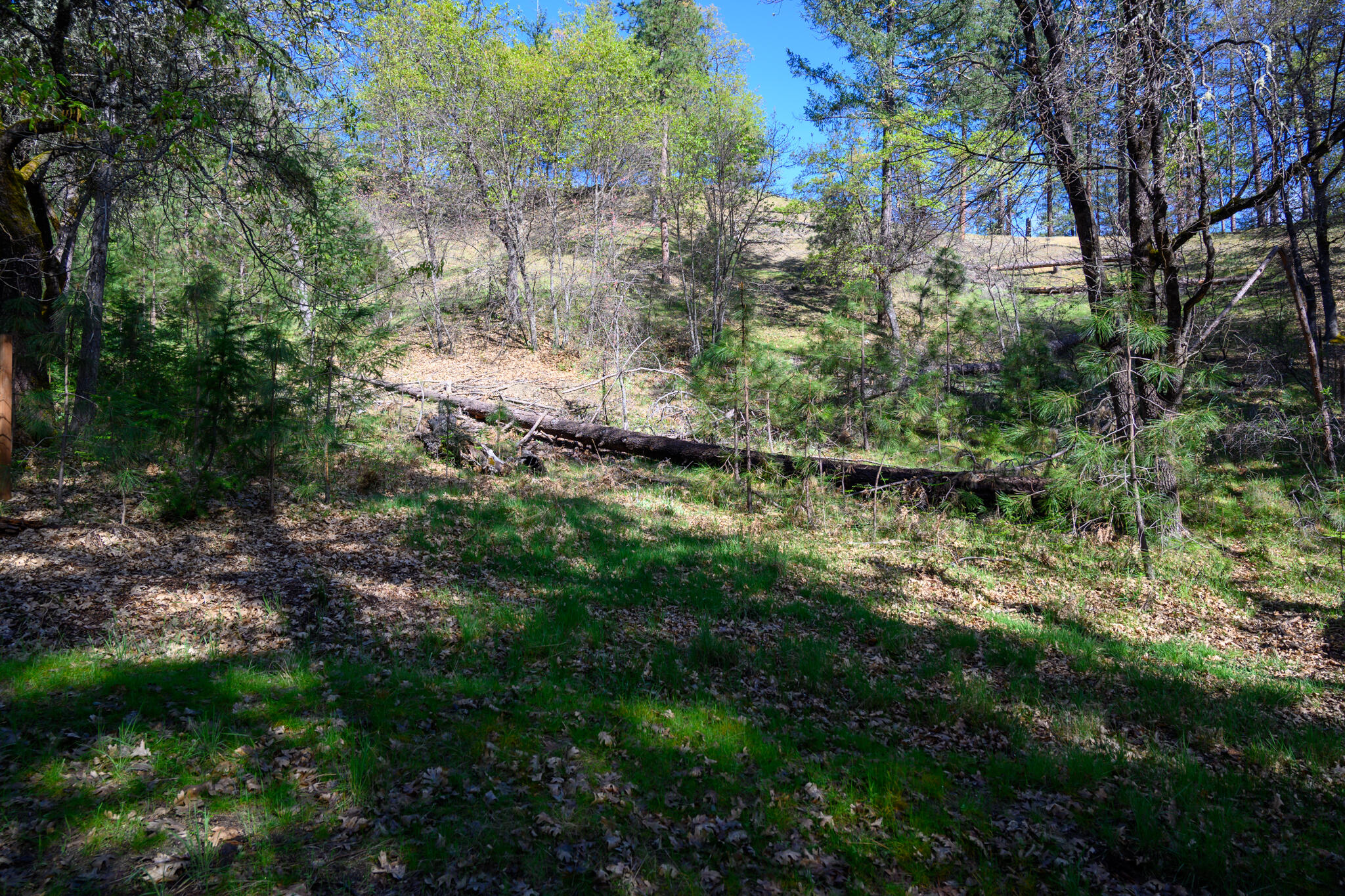 Land in Lewiston 4
