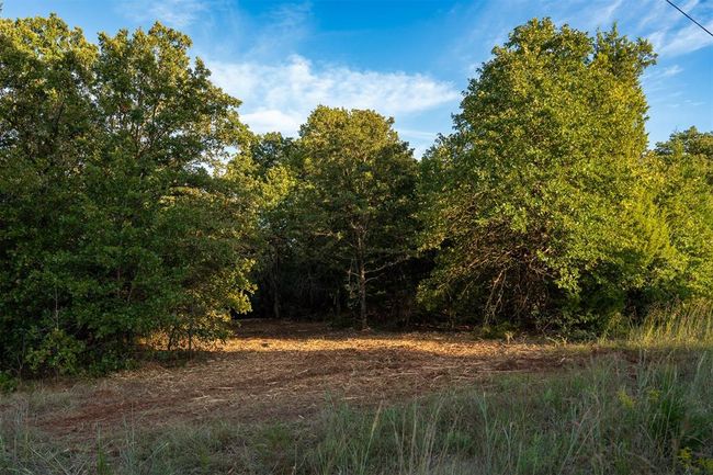 View of nature featuring a view of trees | Image 13