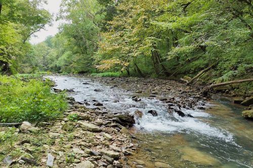 1045 Jones Mill Rd, Smithville, TN, 37166-5486 | Card Image