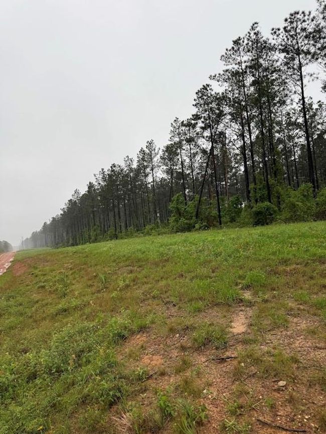 0 Richardson Rd E, Home with 0 bedrooms, 0 bathrooms and null parking in Livingston TX | Image 7