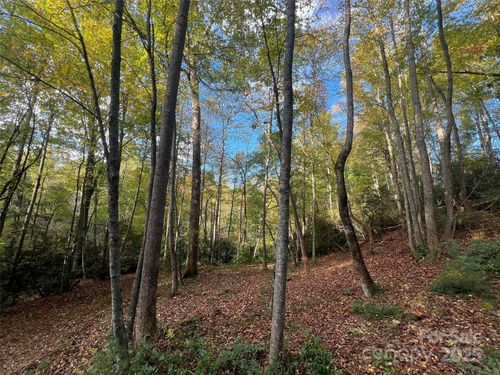 01-6 Dividing Ridge Trl, Arden, NC, 28704-8825 | Card Image