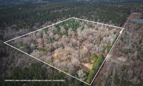 495 Pinecrest Drive, Point Blank, TX, 77364 | Card Image