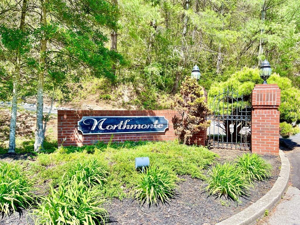 Land in Pikeville 3