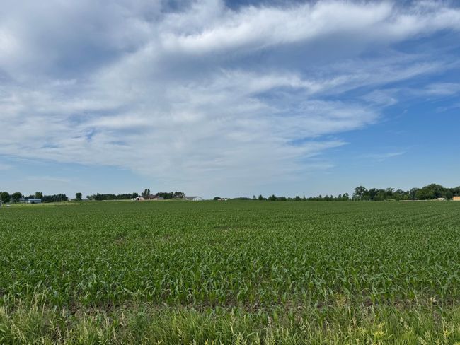 1 230 Th Ave, Home with 0 bedrooms, 0 bathrooms and null parking in Mora MN | Image 6
