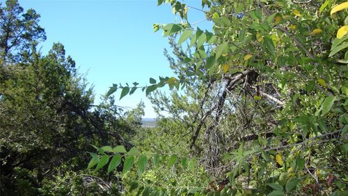 20804 Bonanza St, Lago Vista, TX, 78645-5812 | Card Image