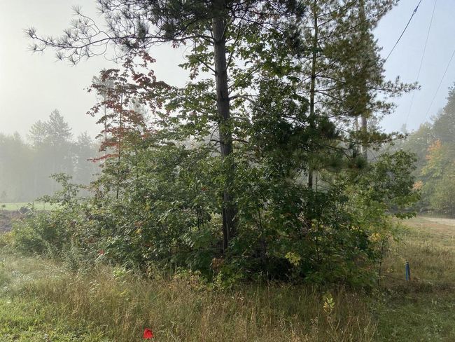 Lt0 Back Acres Drive, Home with 0 bedrooms, 0 bathrooms and null parking in Beecher WI | Image 4