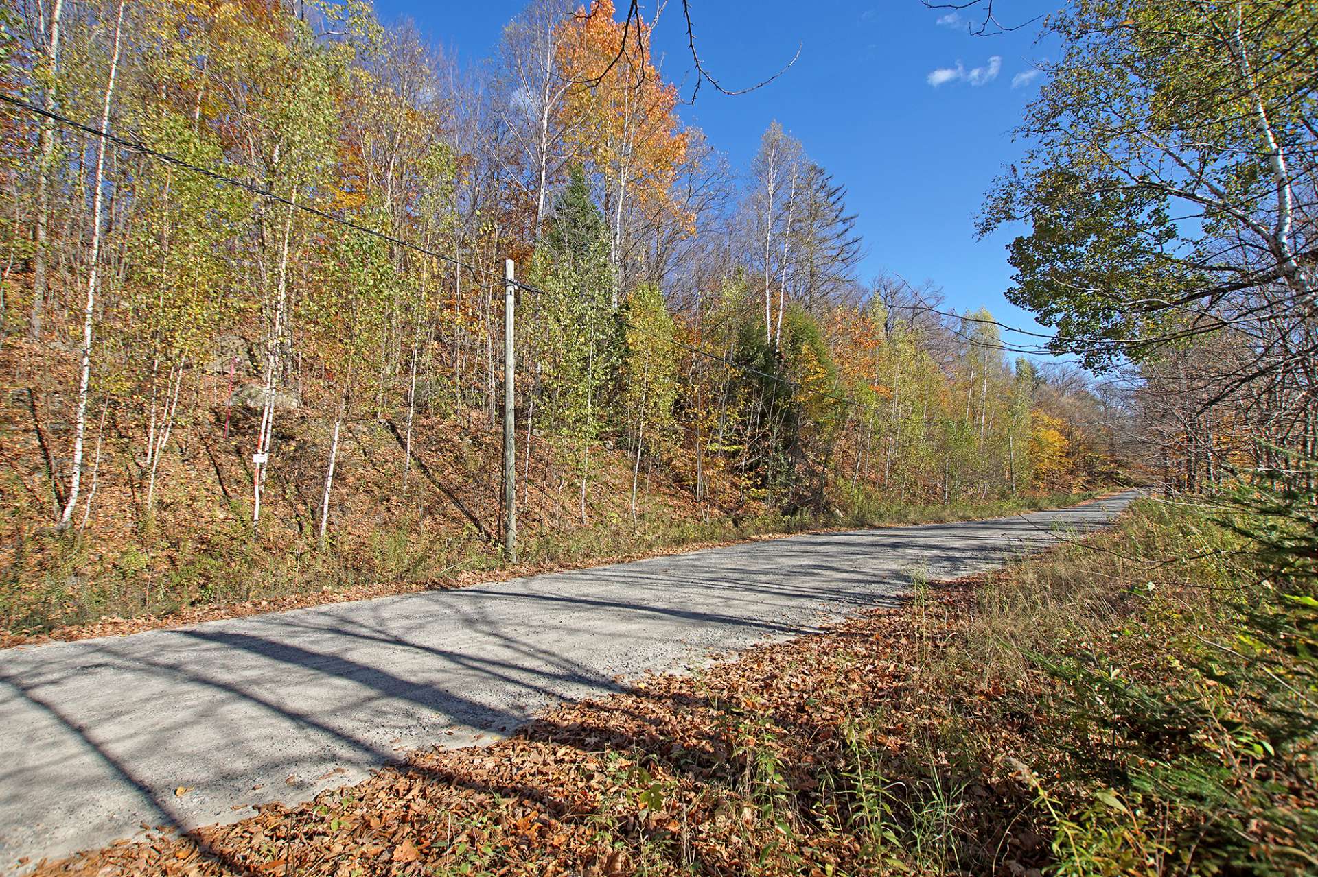 Land in Wentworth