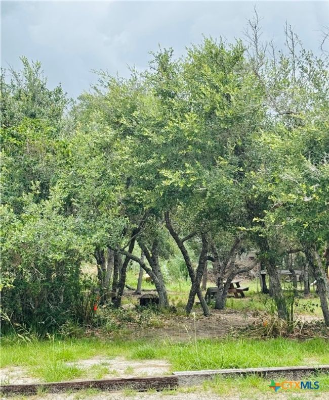 582 Adolfo Rd, Home with 0 bedrooms, 0 bathrooms and null parking in Aransas Pass TX | Image 14