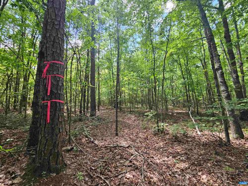 100 Ac James Anderson Hwy W, GLADSTONE, VA, 24553 | Card Image