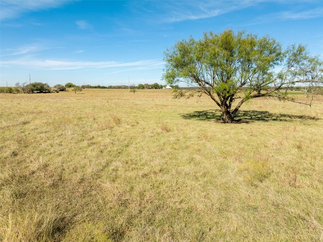 Tract 1 & Tract 2 Fm 934, Home with 0 bedrooms, 0 bathrooms and null parking in Itasca TX | Image 8