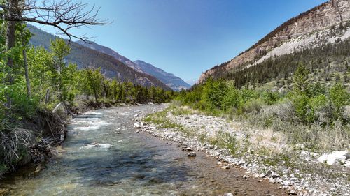 2055 Teton Canyon Rd, Choteau, MT, 59422-9328 | Card Image