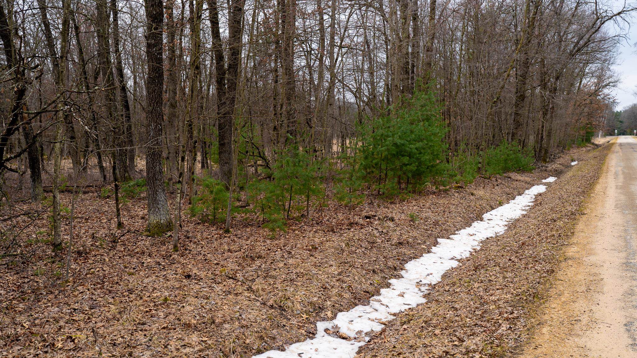 Land in Adams 4