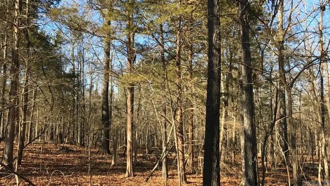 000 Cedar Ln, Home with 0 bedrooms, 0 bathrooms and null parking in Lead Hill AR | Image 27