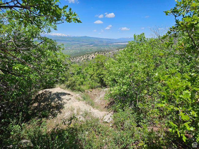 Mountain view with a heavily wooded area | Image 8