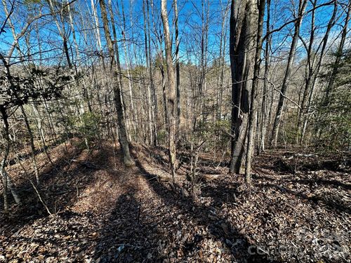 Lot 11 Blue Mist Mountain Rd, Whittier, NC, 28789 | Card Image