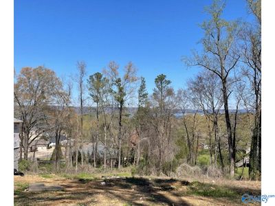 Lot 2 Hickory Hill Drive, Home with 0 bedrooms, 0 bathrooms and null parking in Guntersville AL | Image 1