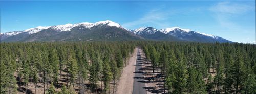 19 Red Owl Rd, Bigfork, MT, 59911-7042 | Card Image