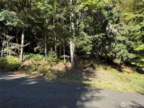 420 Arabian Drive, Brinnon, WA, 98320 | Card Image