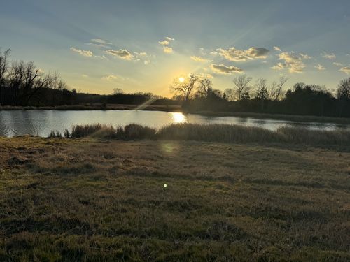 7240 E State Highway 294, Elkhart, TX, 75839-3150 | Card Image