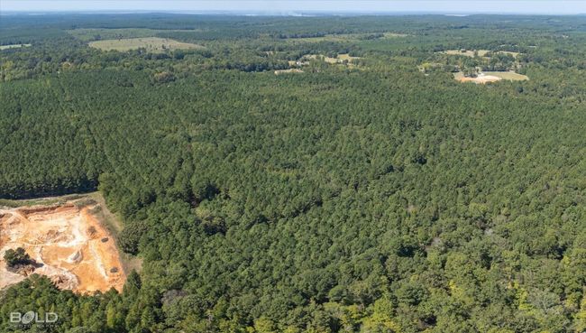 Bird's eye view | Image 11