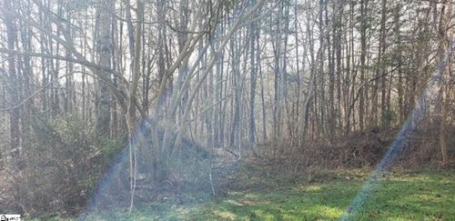 00 Lockhart Cir, Landrum, SC, 29356 | Card Image