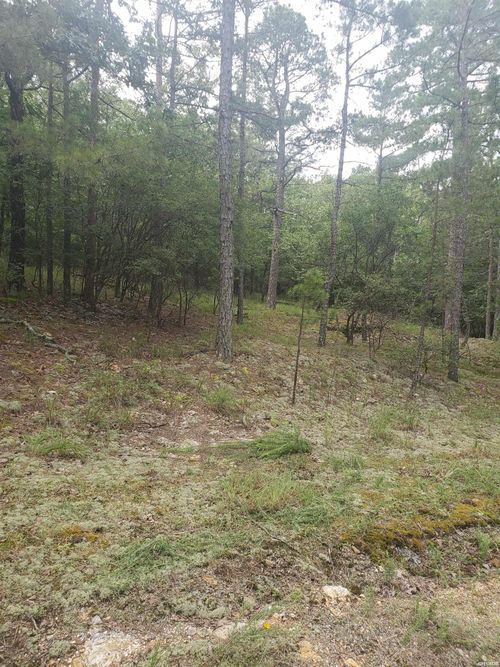 3805 Independence Dr, Hot Springs National Park, AR, 71913 | Card Image