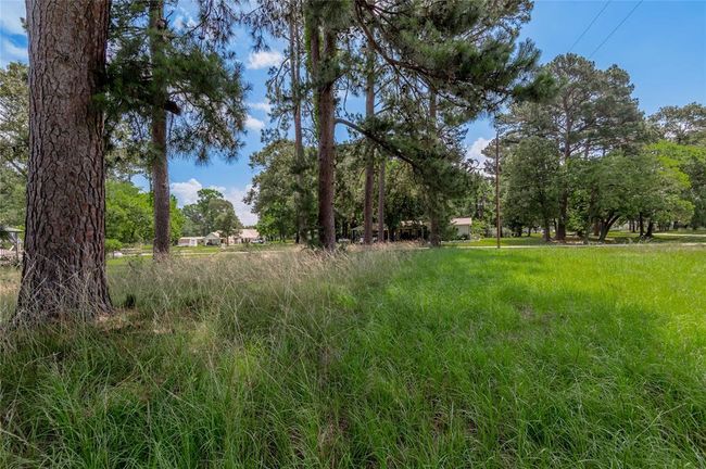 15 Hermitage, Home with 0 bedrooms, 0 bathrooms and null parking in Trinity TX | Image 5